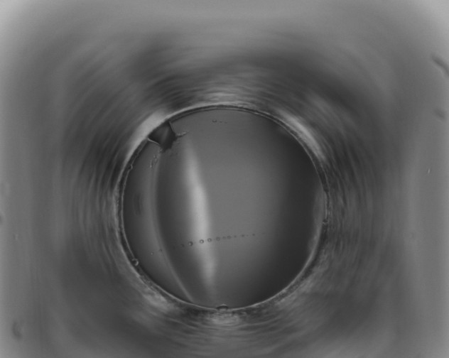 X0000096491291200801311610