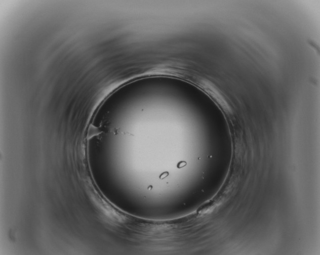 X0000096491292200801311610