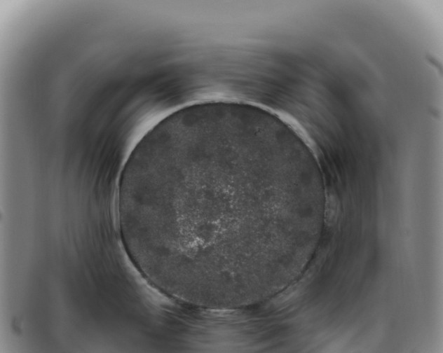 X0000096491295200801311610