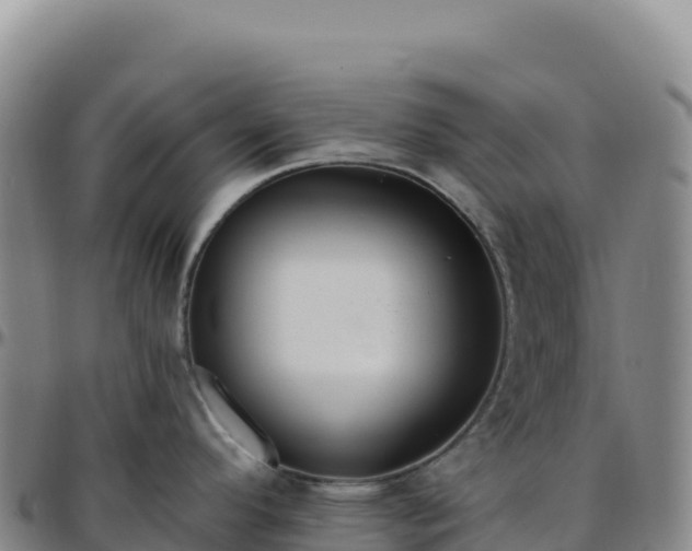 X0000096491296200801311610