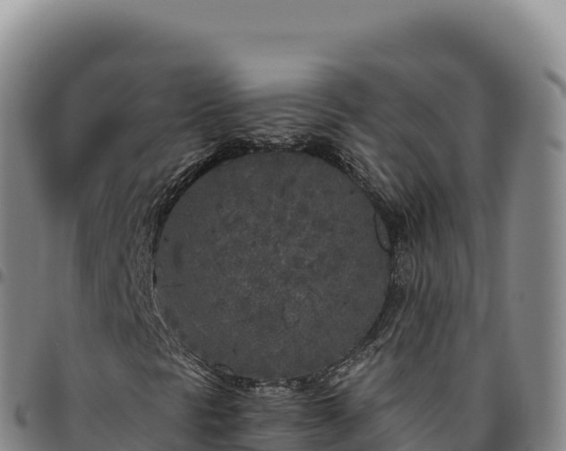 X0000096491297200801311609