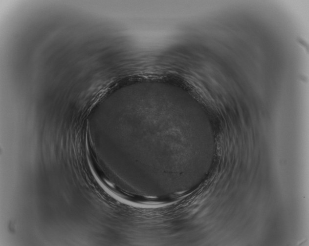 X0000096491298200801311609