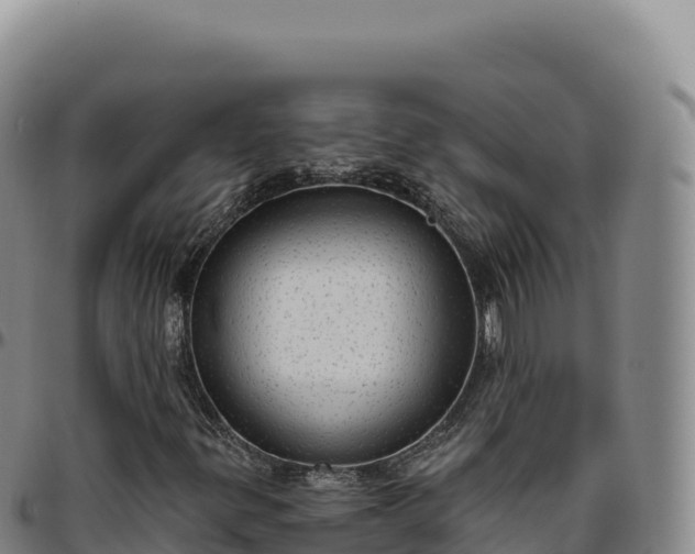 X0000096491299200801311609