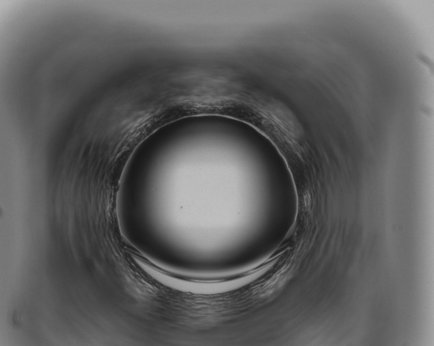 X0000096491300200801311609