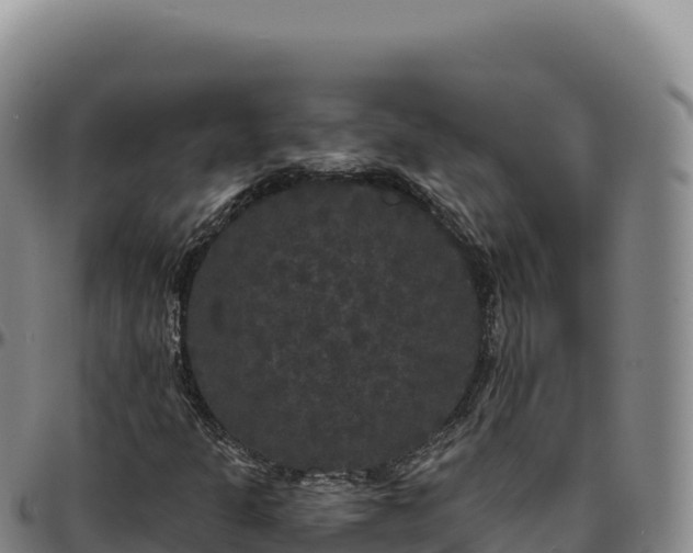 X0000096491301200801311609