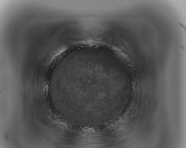 X0000096491302200801311609