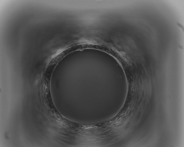 X0000096491303200801311609