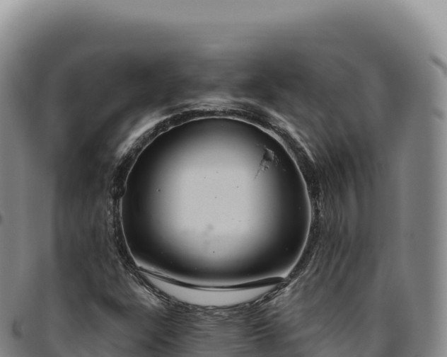 X0000096491304200801311609