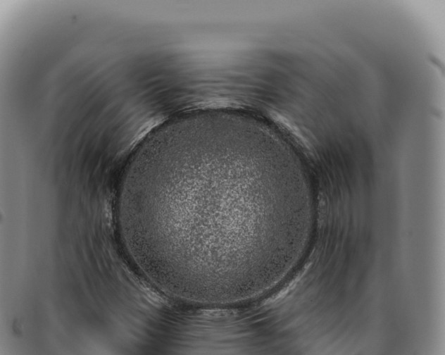 X0000096491305200801311609