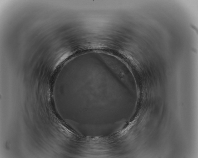 X0000096491306200801311609