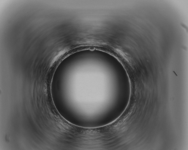 X0000096491307200801311609