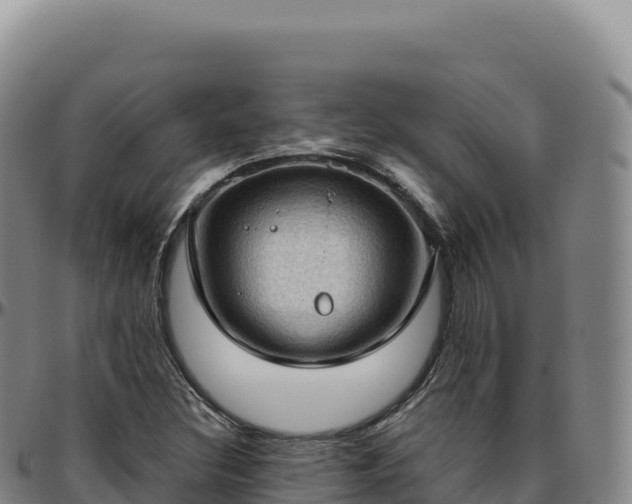 X0000096491308200801311609