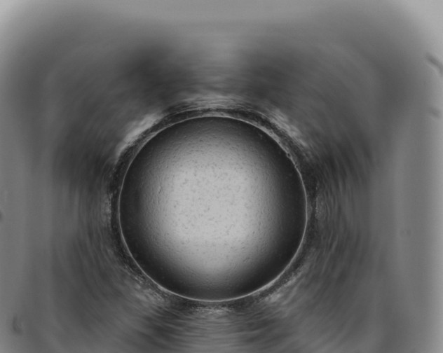 X0000096491309200801311609