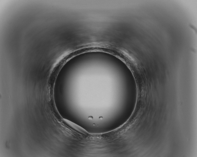 X0000096491310200801311609