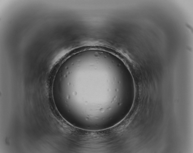 X0000096491311200801311609