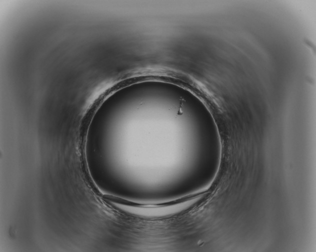 X0000096491312200801311609