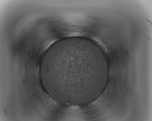 X0000096491313200801311609