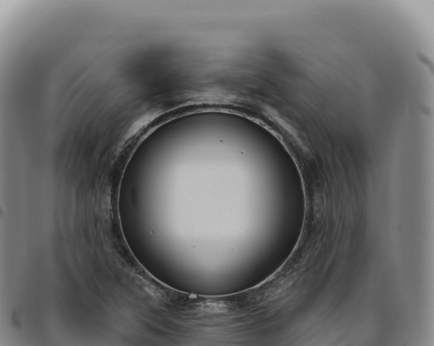 X0000096491315200801311609