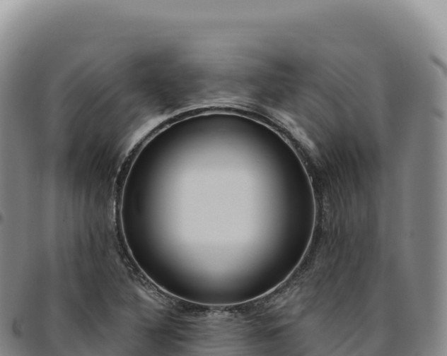 X0000096491316200801311609