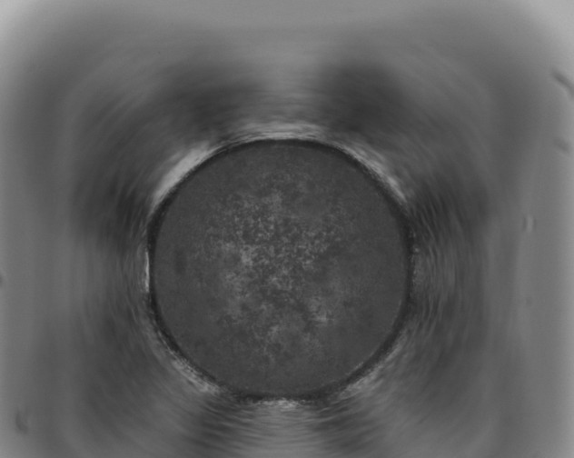 X0000096491317200801311609