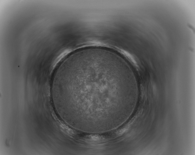 X0000096491318200801311609