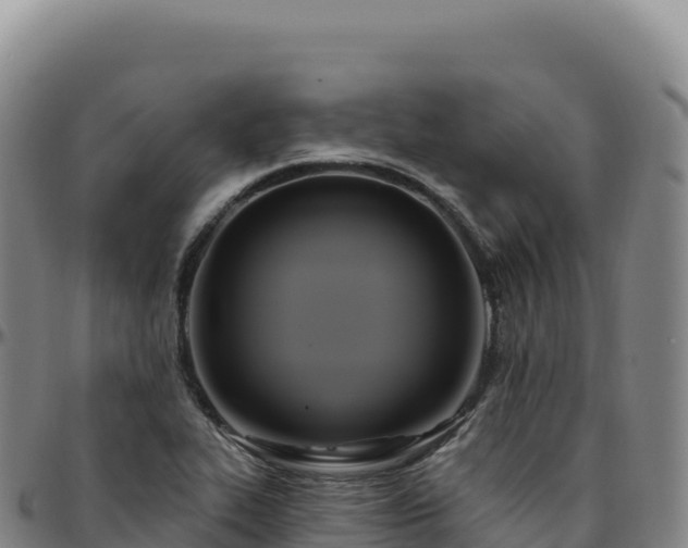 X0000096491319200801311609