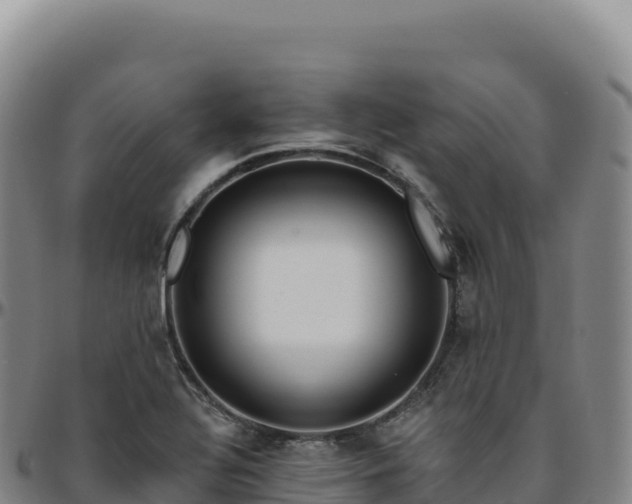 X0000096491320200801311609