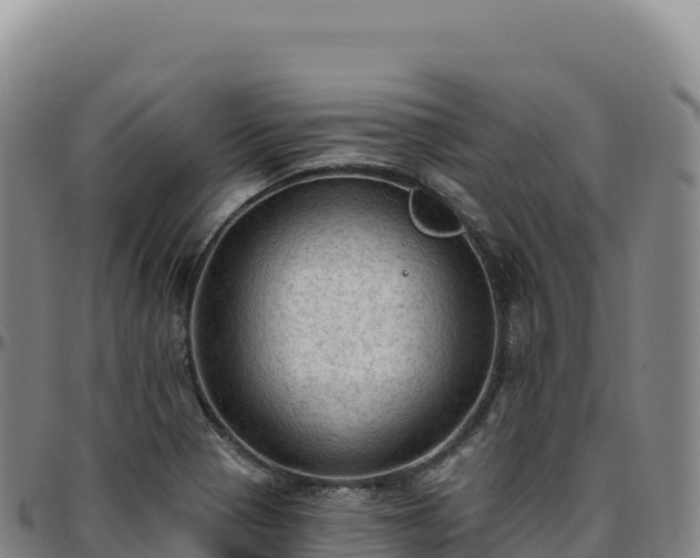 X0000096491321200801311609