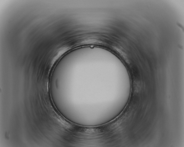 X0000096491322200801311609