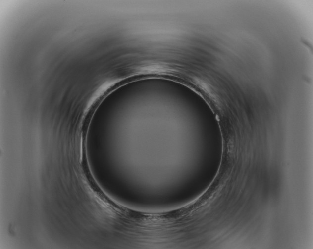 X0000096491323200801311609