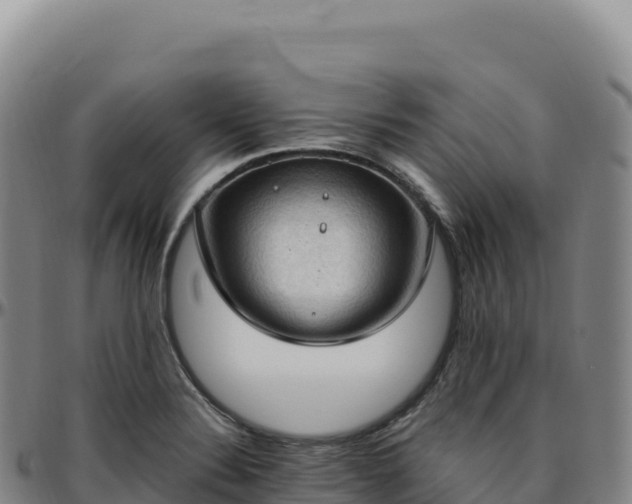 X0000096491324200801311609