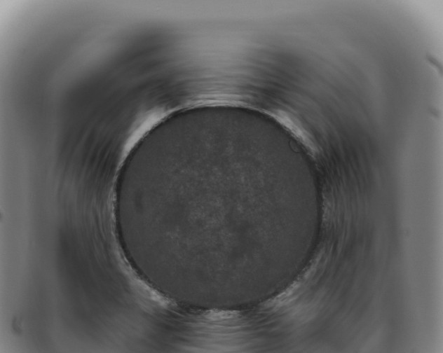 X0000096491325200801311609