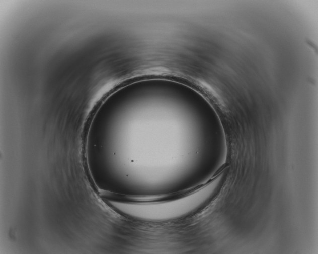 X0000096491326200801311609