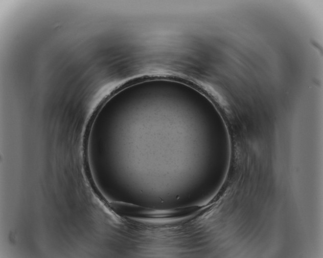 X0000096491327200801311609