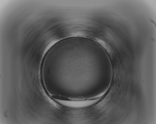 X0000096491331200801311610