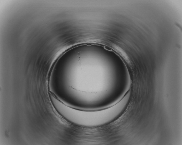 X0000096491332200801311610