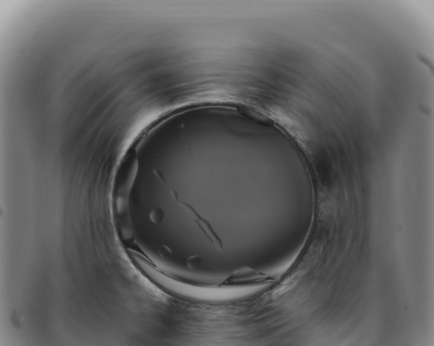 X0000096491334200801311610