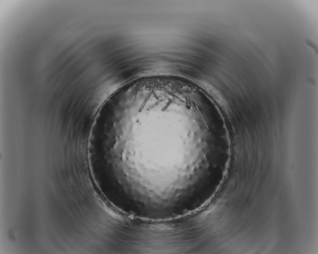 X0000096491337200801311610