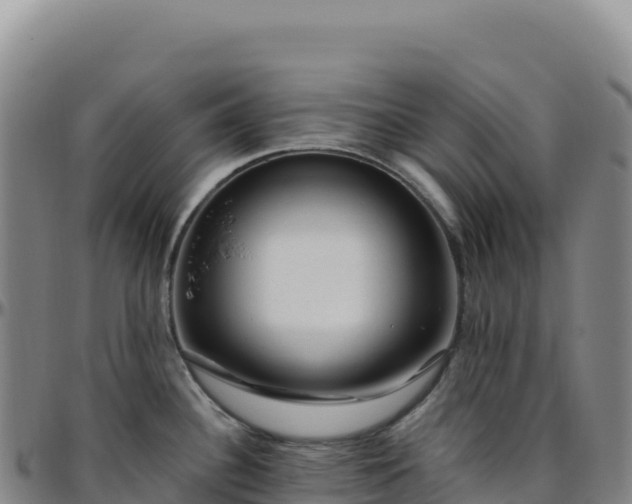 X0000096491340200801311610