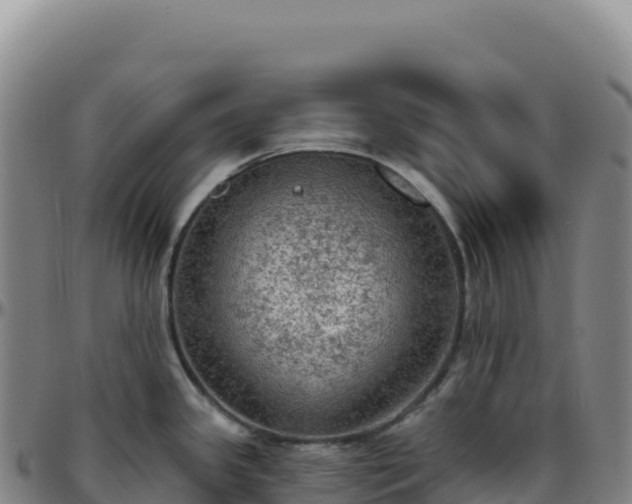 X0000096491341200801311610