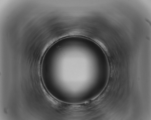 X0000096491342200801311610