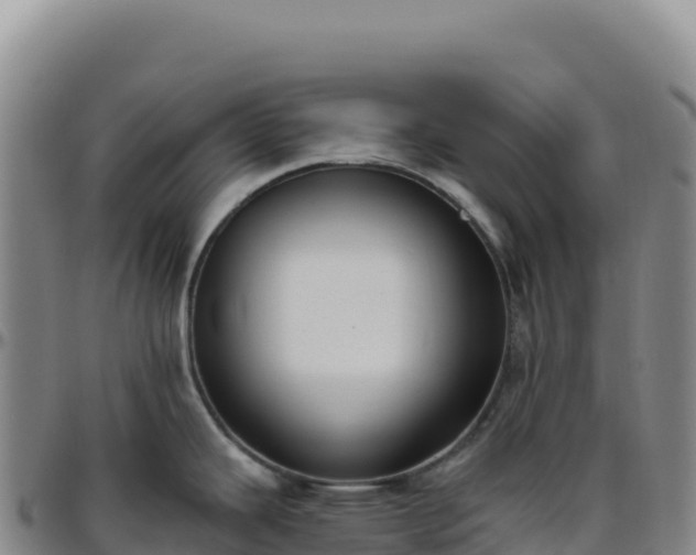 X0000096491343200801311610