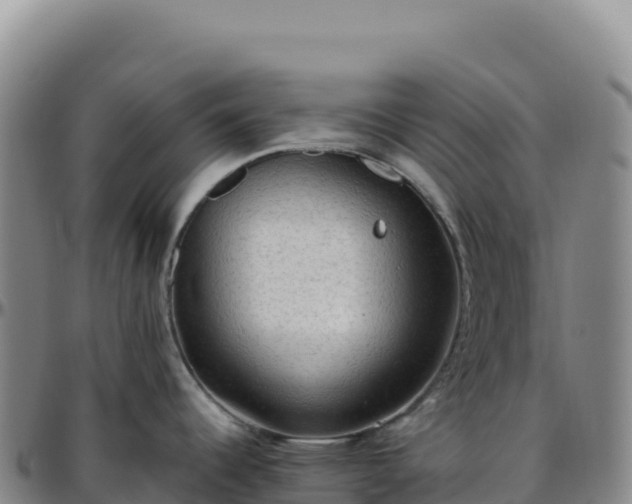 X0000096491344200801311610