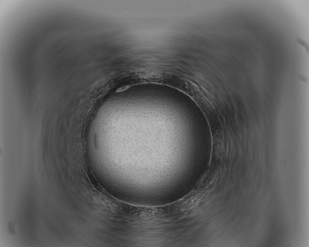 X0000096491345200801311609