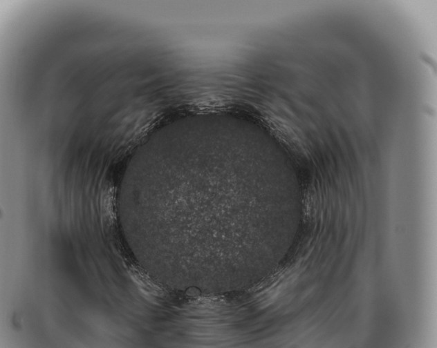 X0000096491346200801311609