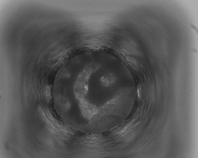 X0000096491347200801311609