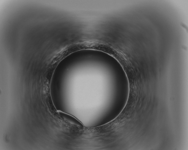 X0000096491349200801311609