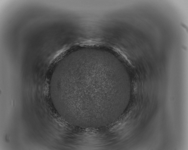 X0000096491350200801311609