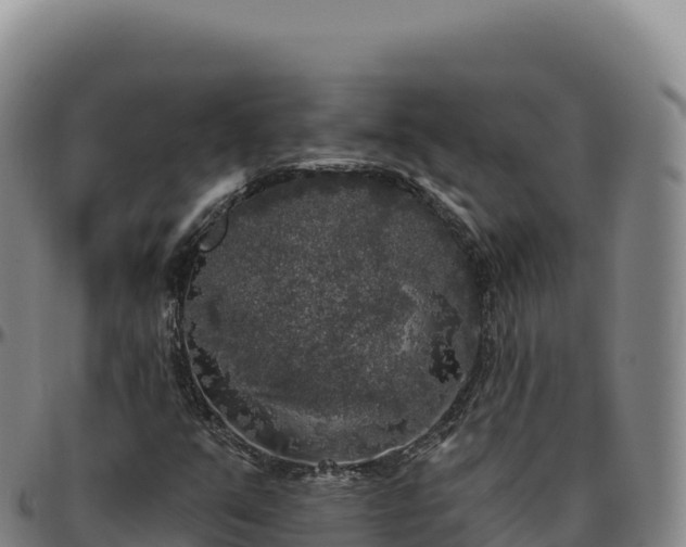 X0000096491351200801311609