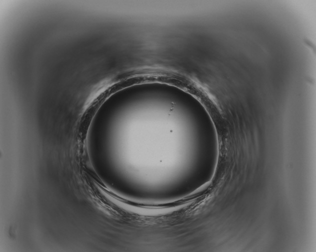 X0000096491352200801311609